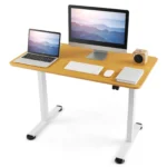 Electric Sit-Stand Desk Ergonomic Workstation with Cable Management & Button Control